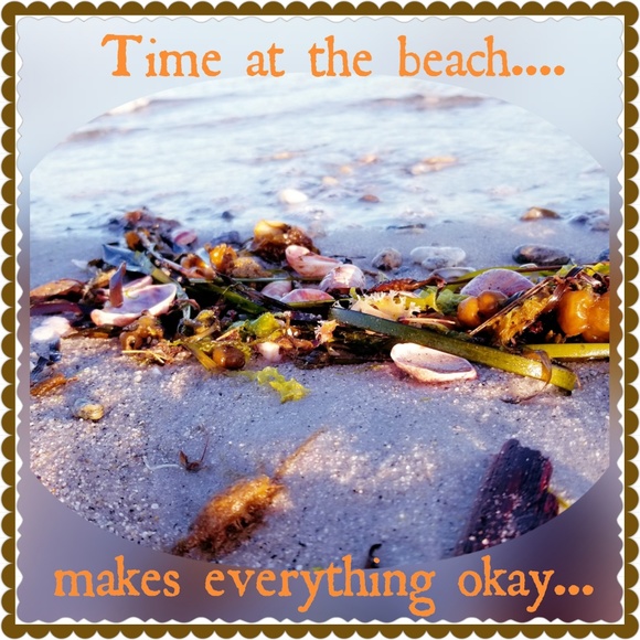 Meet Your Posher! - Picture 5 of 13